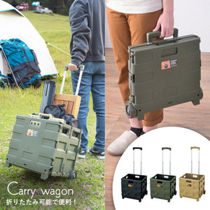 FOLDING CARRY WAGON 30L