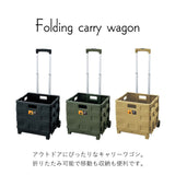 FOLDING CARRY WAGON 30L