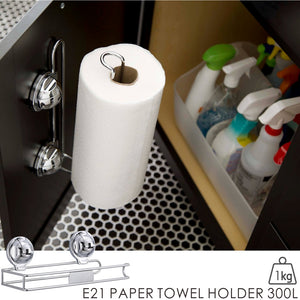 E21 PAPER TOWEL HOLDER 300L