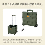 FOLDING CARRY WAGON 30L