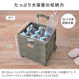 FOLDING CARRY WAGON 30L