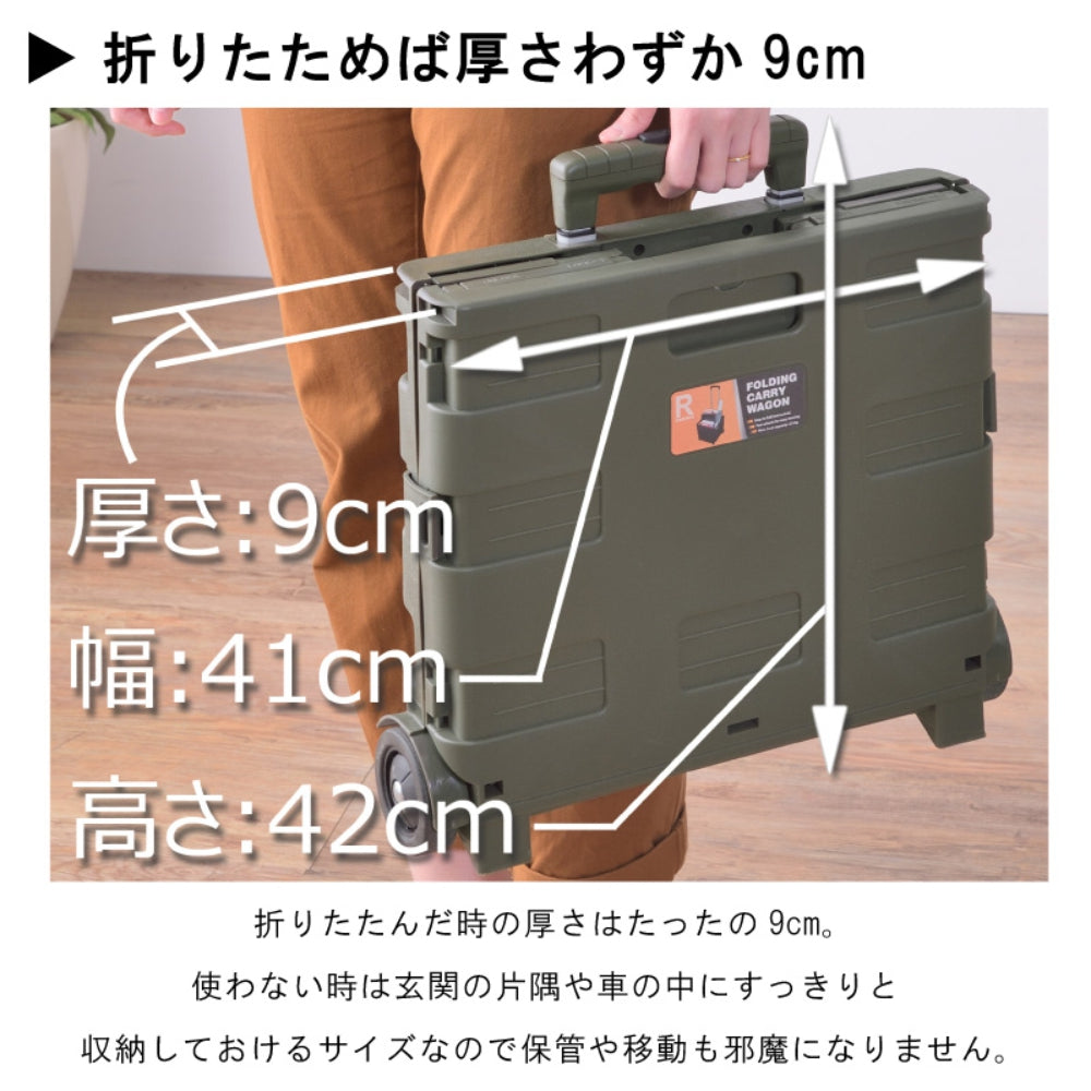 FOLDING CARRY WAGON 30L